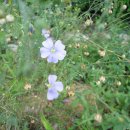 청통농장 이미지