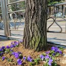 예술대학로 이미지