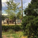 천기리마을회관 이미지