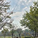 오늘도, 멍멍 이미지