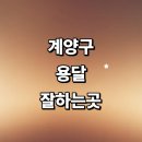 개인화물573 | 인천 계양구 근처 화물용달 용달이사 추천 잘하는곳...소형 견적 렌트 가격 운송 후기 대여 다마스 대형