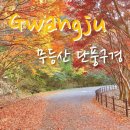 부산시민등산아카데미15기 제161차 국립공원 무등산 인왕봉 산행 & 무등산 최고의 단풍명소 원효사 계곡단풍 트레킹 이미지