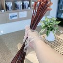 막내딸집 이미지