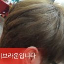 에쉬헤어샾 이미지