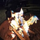 꽃지늘봄펜션 이미지