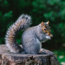 넥스트 pc방 이미지