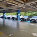 관저다목적체육관 수영장 이미지