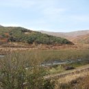 영천(포항) 이미지