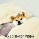 다 - 중랑구 | 다