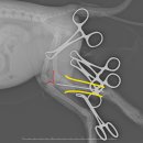 정강동물병원 이미지