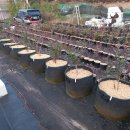 억조농장 이미지