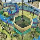 구운 자동차 나라 이미지