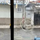 이수야 농장 | 구미 유어스튜디오, 윤스 웜아트 자격증반 수업 후기