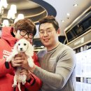 미니펫 강아지분양 고양이분양 부천점 이미지