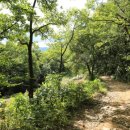 호반환승센터 버스정류장 이미지