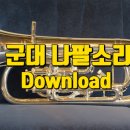 나팔 - 12469 | 나팔