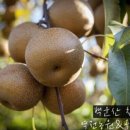 백운산건강원 - 달서구 구마로52안길 79 | 백운산건강원