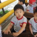 민정목장 이미지