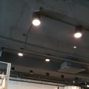 래비트