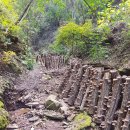 대풍농장 이미지