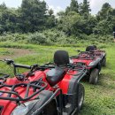 대유랜드입구 | 대유랜드 ATV 클레이사격 제주 가족여행 체험 추천! 이색 액티비티 용머리해안 트래킹