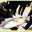 거제다대횟집 이미지