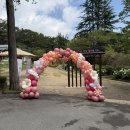 일광노인복지관 | 부산풍선아치로 완성한 특별한 하루, 일광노인복지관 어버이날행사 &amp; 금강공원 봄맞이축제 출장 후기