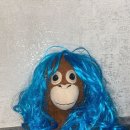 김상사