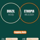 풀시티커피 | ​☕ [커피 노트] 시티커피 부산블렌딩 원두 후기 | 브라질×에티오피아 홈블렌딩으로 완성한 아침의 풍미