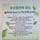 어머니김치 | 세종 장군면 칼국수 맛집 건강과 가성비도 좋은 어머니 칼국수 내돈내산 후기