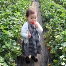 지윤농장 이미지