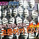 달빛좌대 이미지