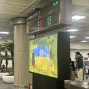 올레목장 | 제주 첫날 여행기: 성이시돌목장부터 서귀포 올레시장까지