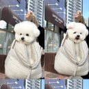 러비도기 이미지