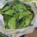 오만농장 이미지