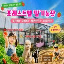 골든포레스트 | [용인 아이와 가기 좋은 곳] 서울 근교 40분, 동물 먹이주기부터 미꾸라지까지? '포레스트벨' 찐 후기