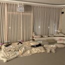 베이비댕 이미지