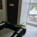 비바모텔 이미지