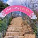 금성면행정복지센터 이미지