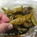 고추삭히는법 고추삭히기 방법 동치미 삭힌고추 만들기 고추지 이미지