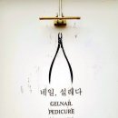 네일설레다
