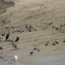 파주착한펜션 이미지