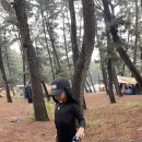 솔뫼펜션 이미지