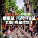 미도리게코 | 베트남 15박 16일 여행 프롤로그 | 하노이 사파 하롱베이