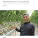 김영식농장 이미지