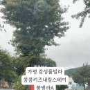 가평 콩콩 내림스테이 키즈 풀빌라A 이미지