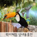 두근두근 뽑기샵 | 실내동물원 동물먹이체험 + 키즈카페 경기도 하남 아이와 갈만한곳