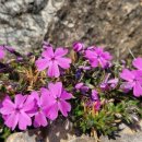 킹 (KING) 이미지