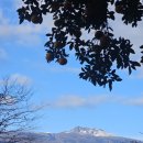 하얀세상 이미지