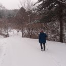 생거진천자연휴양림 이미지